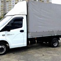 Домашний переезд в другую страну, Новосиньково