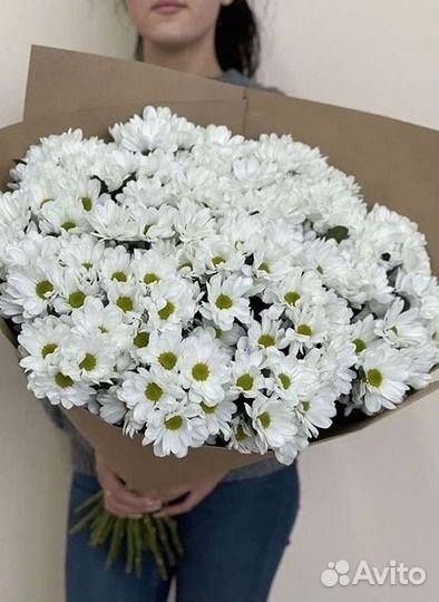 Хризантема