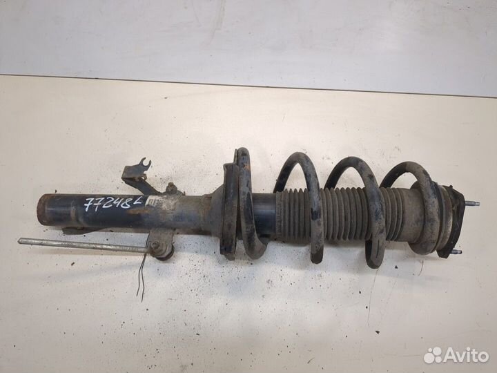 Амортизатор подвески Ford Transit, 2008