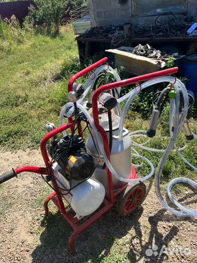 Доильный аппарат для коров бу