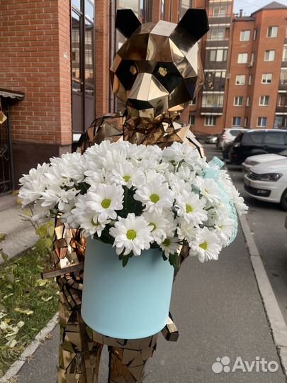 Зеркальное шоу Зеркальный заяц