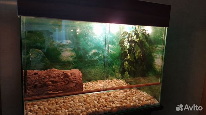 Террариум для рептилий (с тумбой)