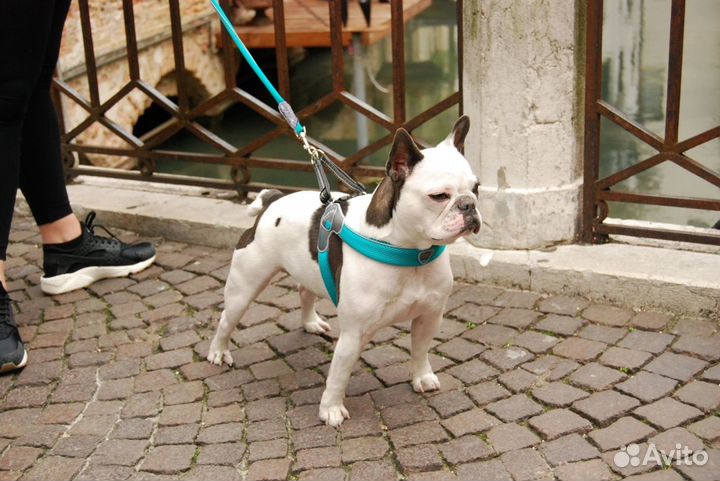 Cortina мягкая шлейка 