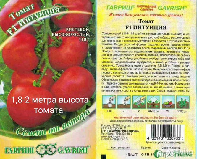 Рассада помидор