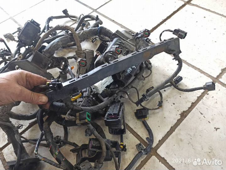Проводка моторная в сборе 1,6 АКПП hyundai solaris