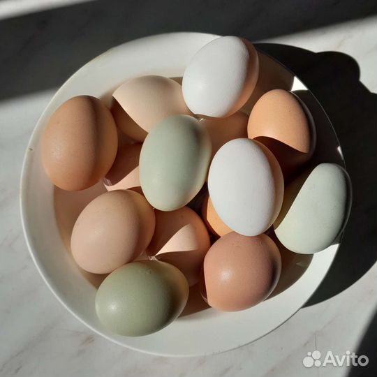 Домашние куриные яйца