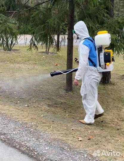 Дезинсекция и дератизация