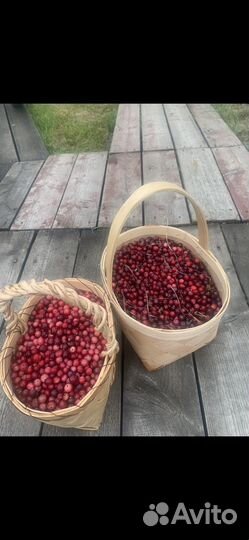 Клюква свежая