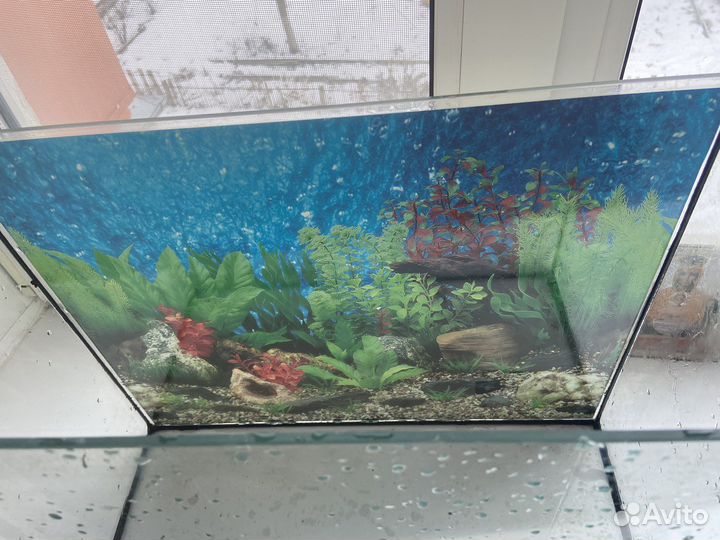 Аквариум