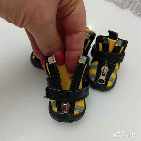 Сапожки для собачки