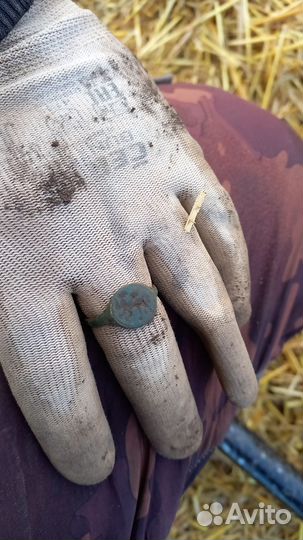 Кольцо Грифон