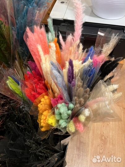 Стабилизированные растения/Сухоцветы