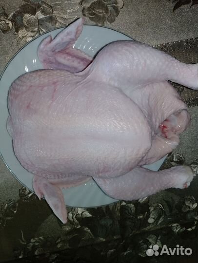 Мясо домашнего бройлера