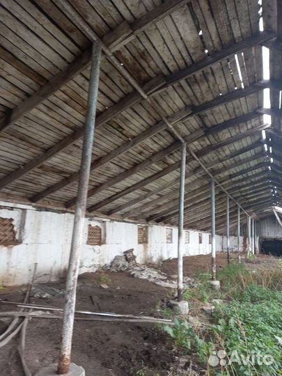 Отдам дрова бесплатно