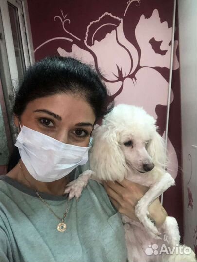 Грумер на дом