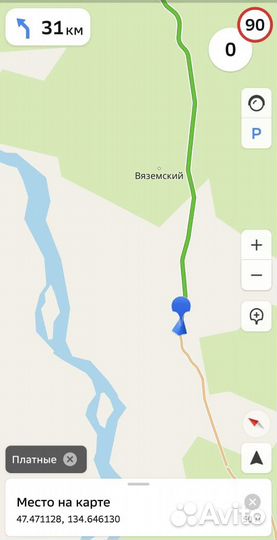 Найдена собака