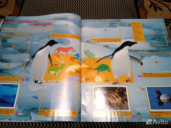 Альбом с наклейками Дикие Животные Panini