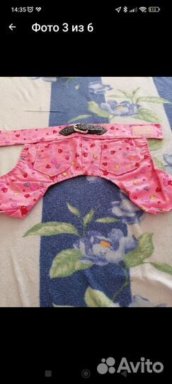 Одежда для собачки