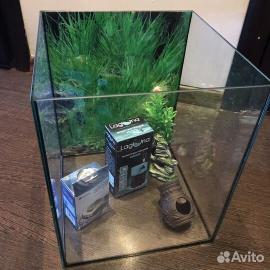 Аквариум