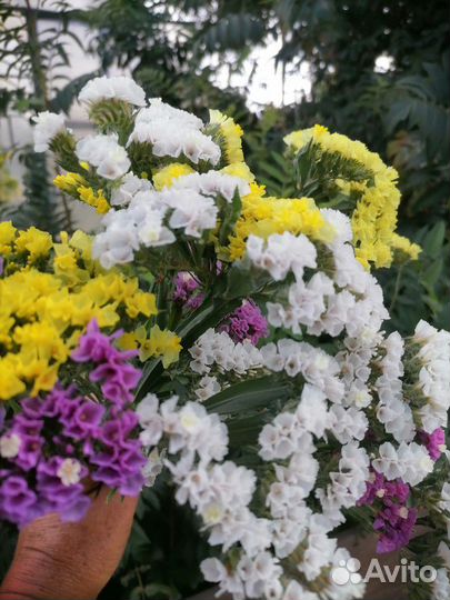 Статица на срезку