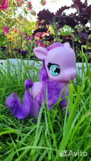 Пони для вашей принцессы My Little Pony