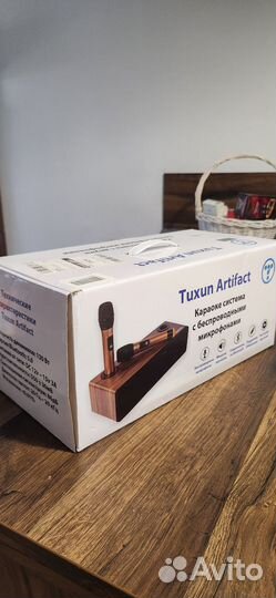 Караоке система для дома Tuxun Artifact