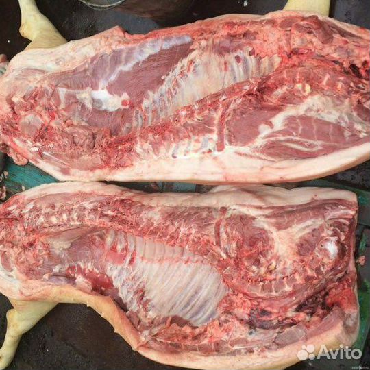 Мясо свинина