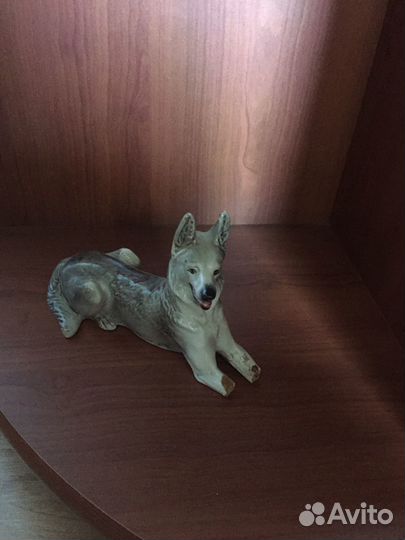 Лиса, заяц, собака, белка. Цена за штуку