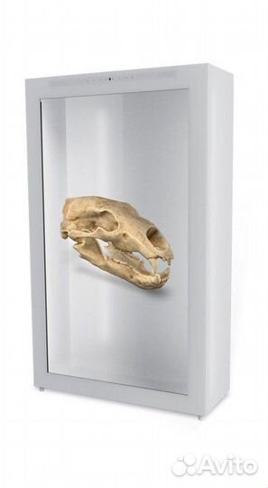 3D - витрина с искусственным интеллектом