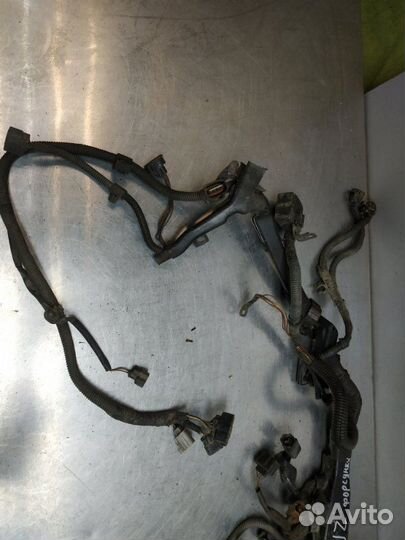 Проводка коса двигателя Toyota Crown Majesta