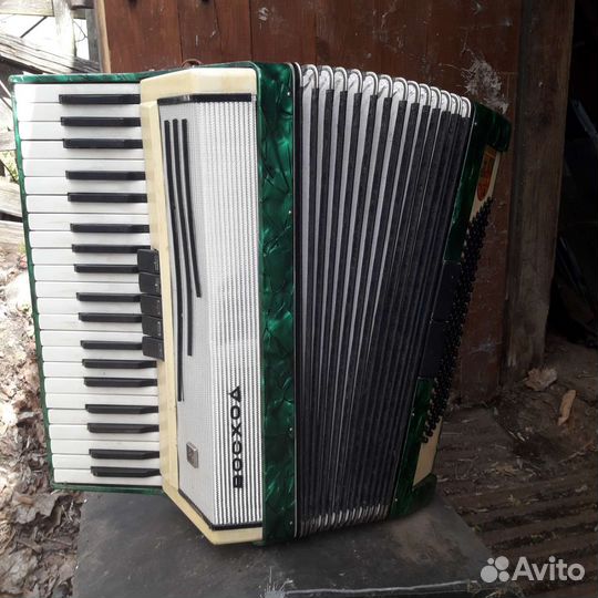 Аккордеон,восход
