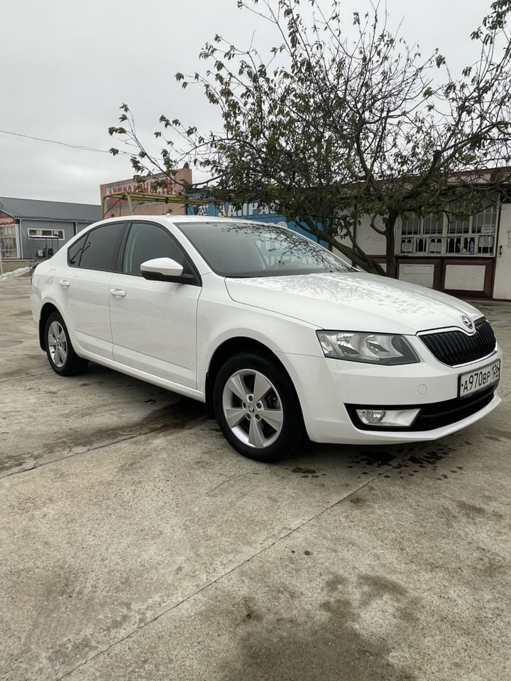Skoda Octavia: фото владельца