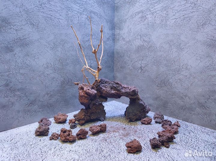 Коряги бонсай