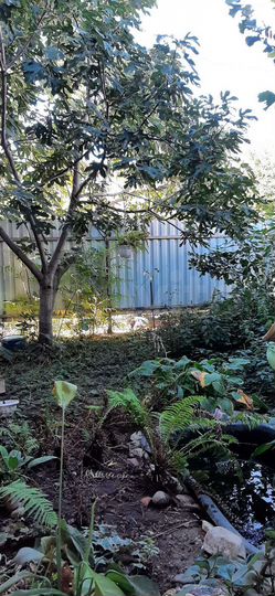 3-к. квартира, 54,6 м², 1/2 эт.