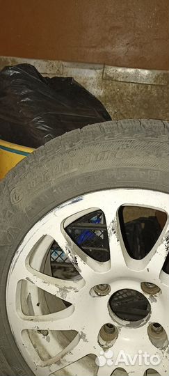 Cordiant Polar 185/65 R15