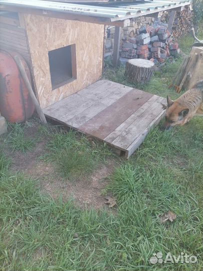 Будка для большой собаки утеплённая