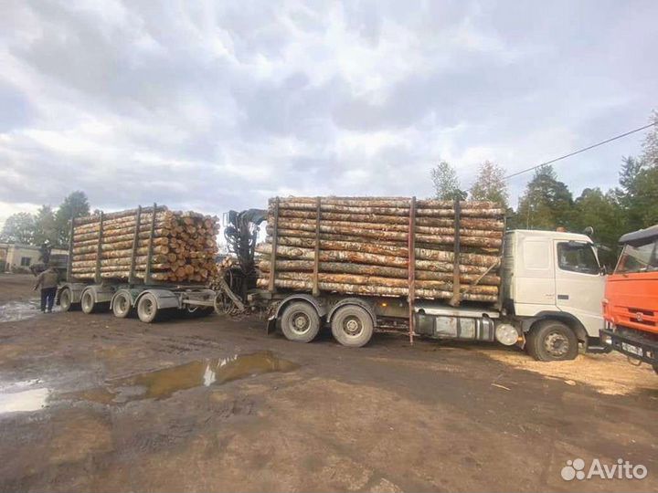 Дрова с доставкой