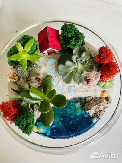 Флорариум, цветы из мыла