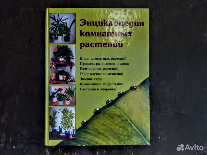 Энциклопедия комнатных растений