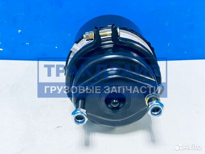 Энергоаккумулятор дисковый тормоз Рено Магнум Тип 20/24
