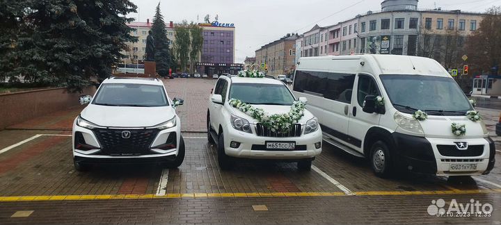 Машины представительского класса на свадьбу