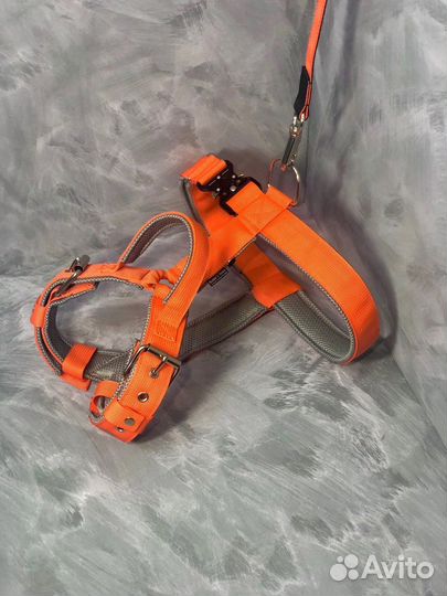 Амуниция для собак