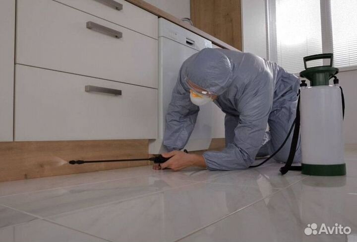 Средство для Уничтожения клопов травля тараканов дезинфекции
