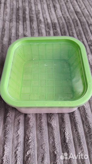 Проращиватель семян/ микрозелени