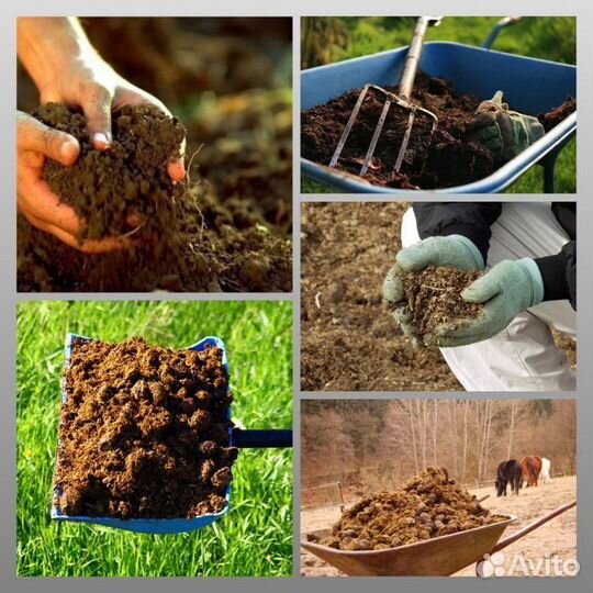 Перегной конский и коровий, навоз свежий