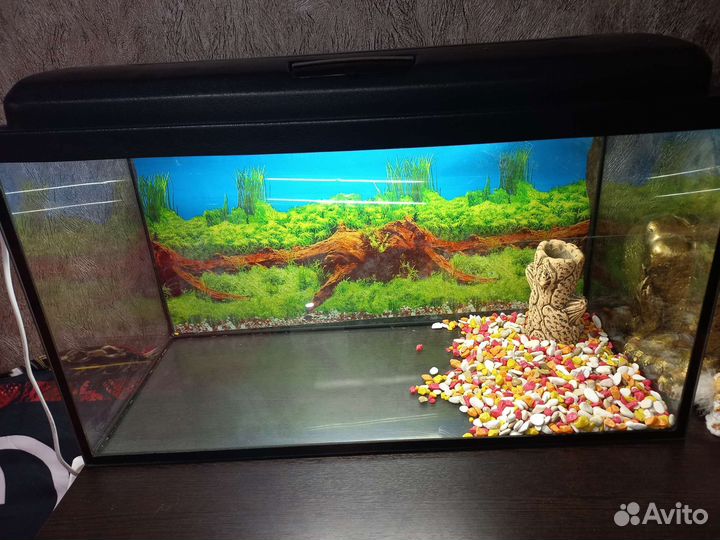 Аквариум