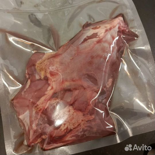 Лопатка рыси без кости