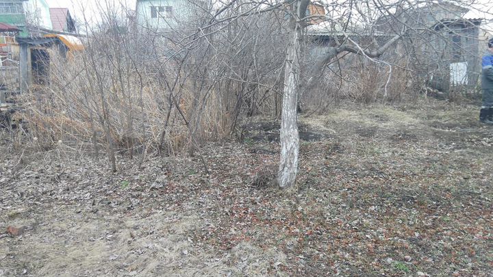 Участок 4 сот. (СНТ, ДНП)