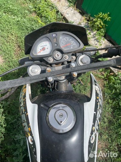 Racer panther 200
