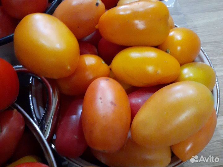 Помидоры